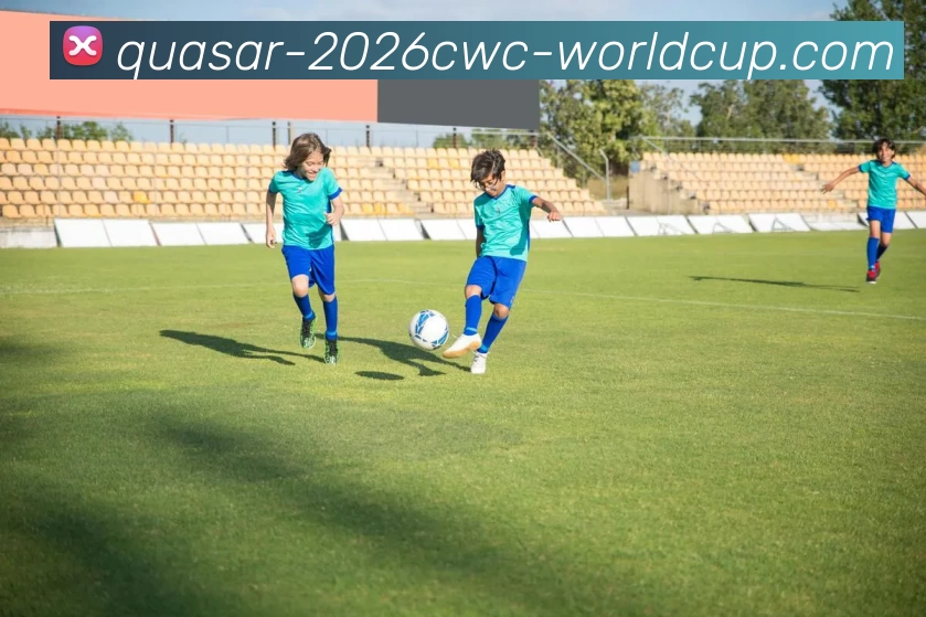 买球中国网站APP 封面图